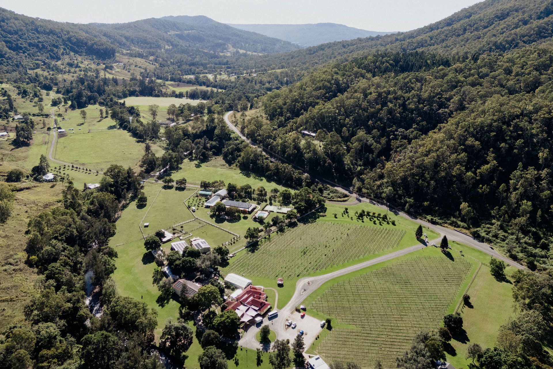 O’Reillys Valley Vineyard